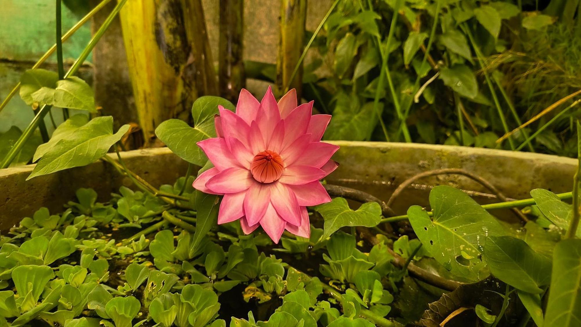 Gt Guest House Virāmpattinam 외부 사진